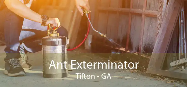 Ant Exterminator Tifton - GA