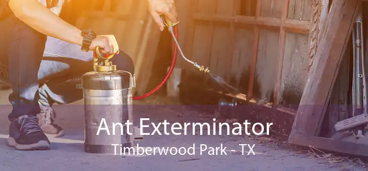 Ant Exterminator Timberwood Park - TX