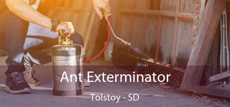  Ant Exterminator Tolstoy - SD