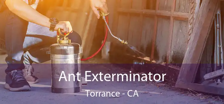  Ant Exterminator Torrance - CA