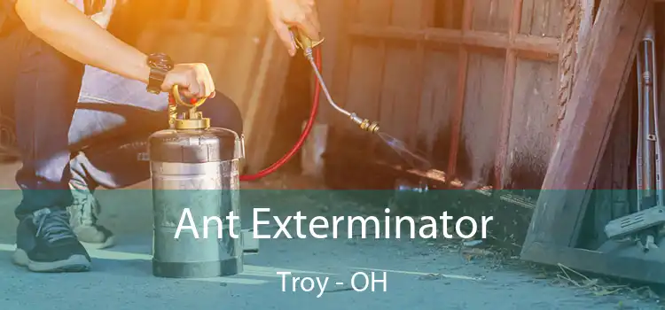  Ant Exterminator Troy - OH