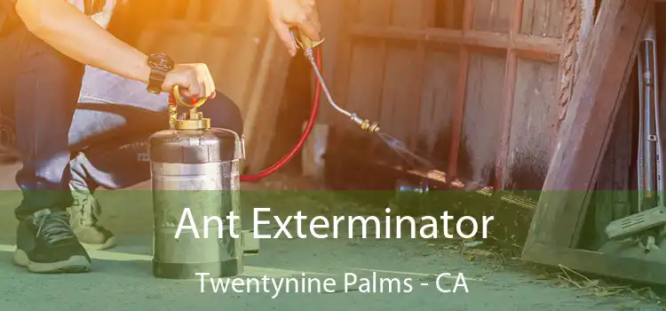  Ant Exterminator Twentynine Palms - CA