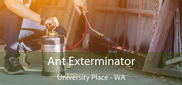 Ant Exterminator University Place - WA