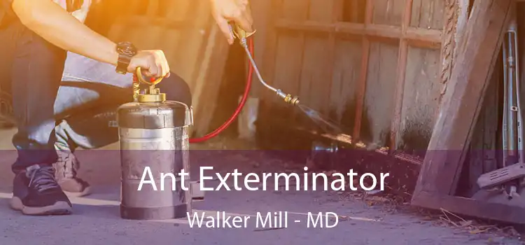  Ant Exterminator Walker Mill - MD