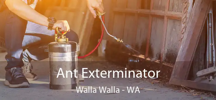 Ant Exterminator Walla Walla - WA