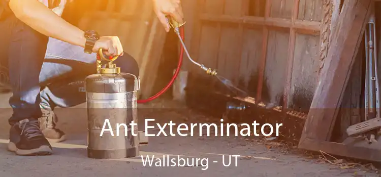  Ant Exterminator Wallsburg - UT
