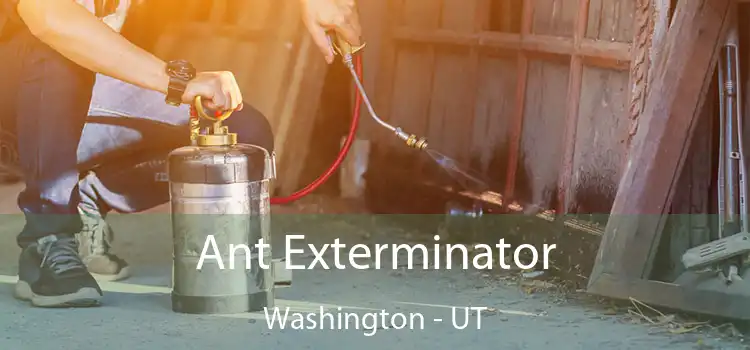  Ant Exterminator Washington - UT