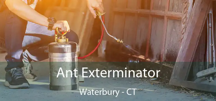  Ant Exterminator Waterbury - CT