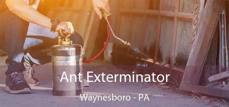  Ant Exterminator Waynesboro - PA