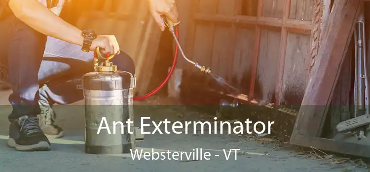  Ant Exterminator Websterville - VT