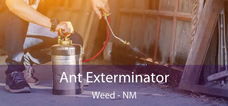  Ant Exterminator Weed - NM