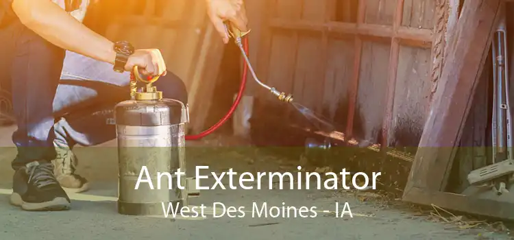 Ant Exterminator West Des Moines - IA