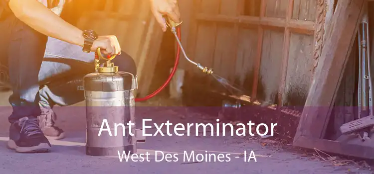  Ant Exterminator West Des Moines - IA