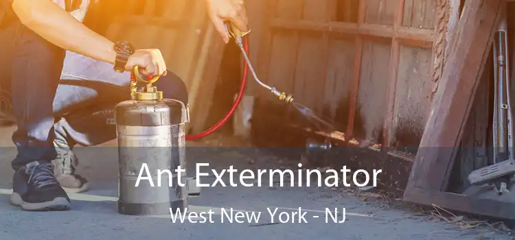  Ant Exterminator West New York - NJ