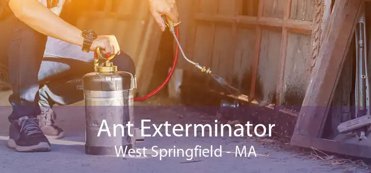 Ant Exterminator West Springfield - MA