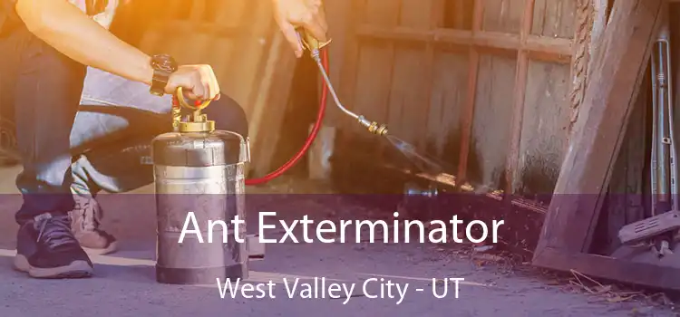  Ant Exterminator West Valley City - UT