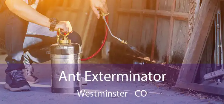  Ant Exterminator Westminster - CO