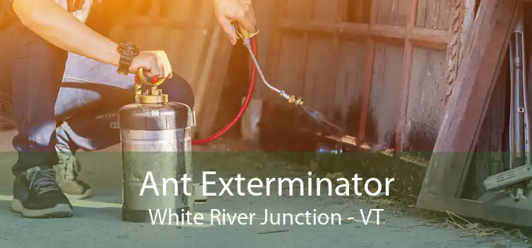Ant Exterminator White River Junction - VT