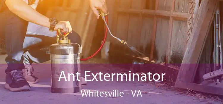  Ant Exterminator Whitesville - VA