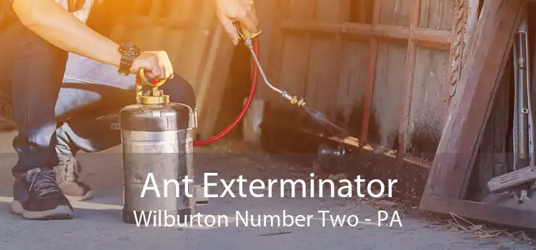 Ant Exterminator Wilburton Number Two - PA
