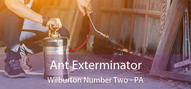  Ant Exterminator Wilburton Number Two - PA