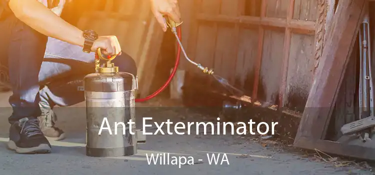 Ant Exterminator Willapa - WA