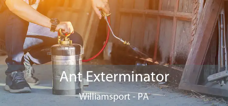  Ant Exterminator Williamsport - PA