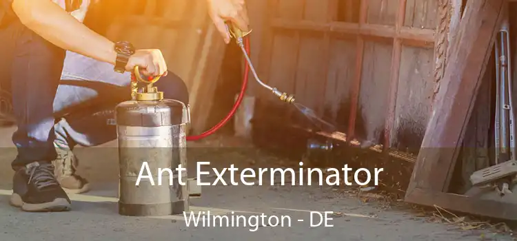  Ant Exterminator Wilmington - DE