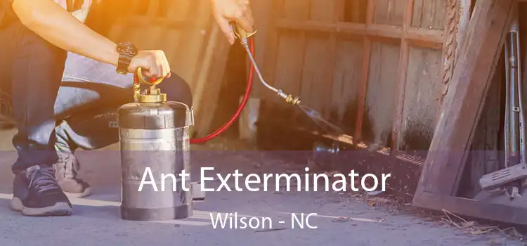  Ant Exterminator Wilson - NC
