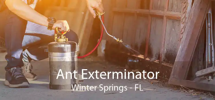 Ant Exterminator Winter Springs - FL