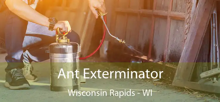 Ant Exterminator Wisconsin Rapids - WI