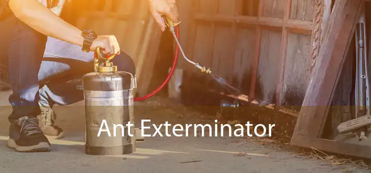  Ant Exterminator 