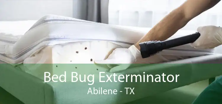Bed Bug Exterminator Abilene - TX