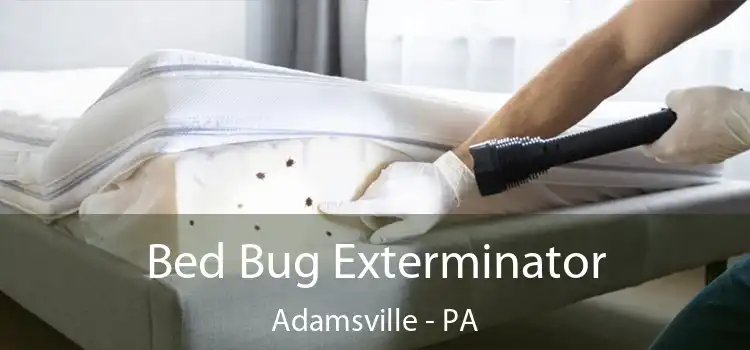  Bed Bug Exterminator Adamsville - PA