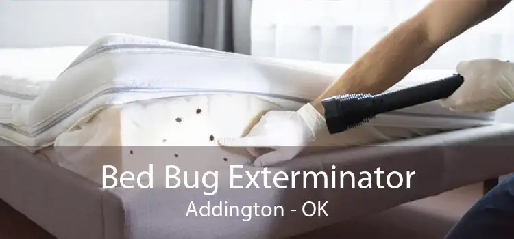 Bed Bug Exterminator Addington - OK