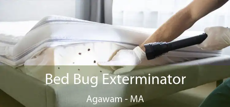  Bed Bug Exterminator Agawam - MA