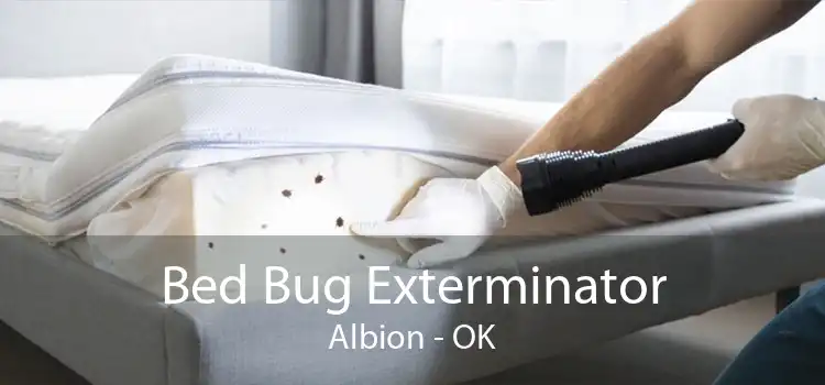 Bed Bug Exterminator Albion - OK