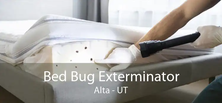 Bed Bug Exterminator Alta - UT