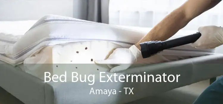 Bed Bug Exterminator Amaya - TX