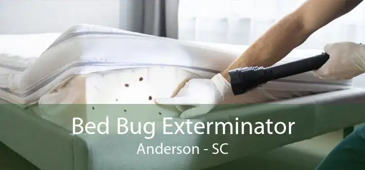 Bed Bug Exterminator Anderson - SC