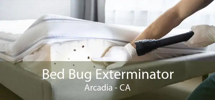 Bed Bug Exterminator Arcadia - CA