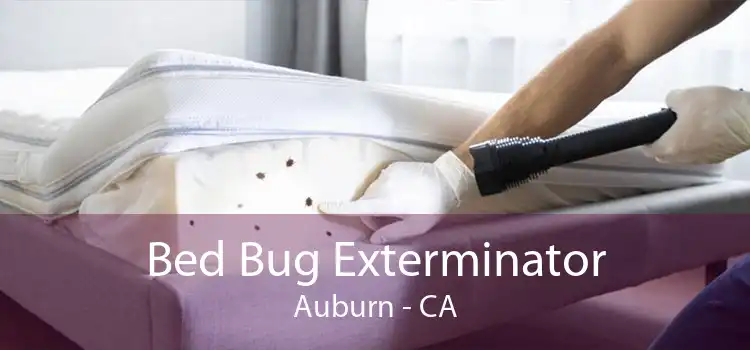 Bed Bug Exterminator Auburn - CA