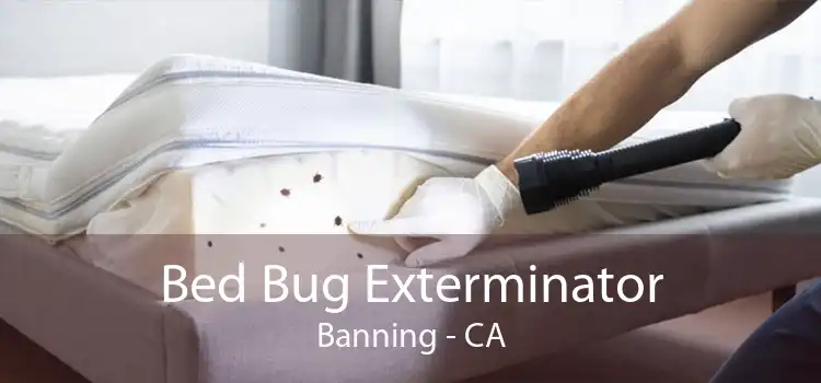 Bed Bug Exterminator Banning - CA