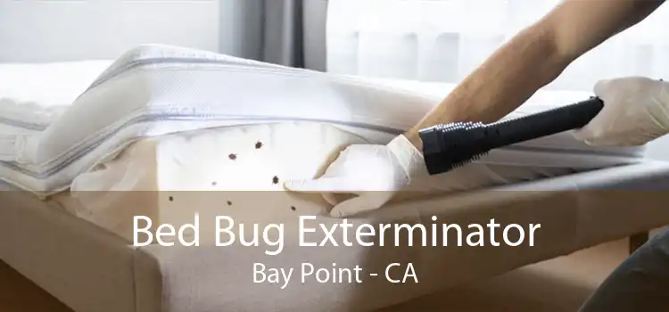 Bed Bug Exterminator Bay Point - CA