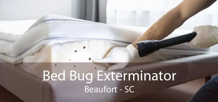 Bed Bug Exterminator Beaufort - SC