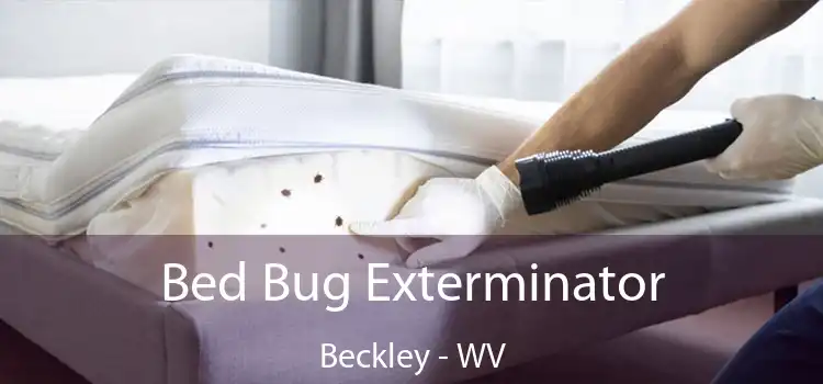  Bed Bug Exterminator Beckley - WV