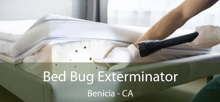 Bed Bug Exterminator Benicia - CA