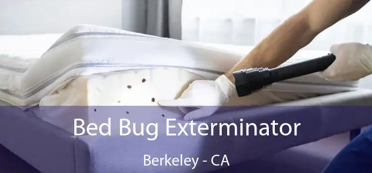 Bed Bug Exterminator Berkeley - CA