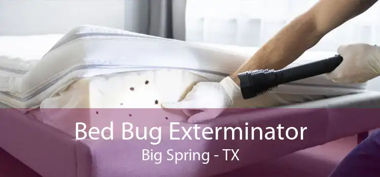 Bed Bug Exterminator Big Spring - TX