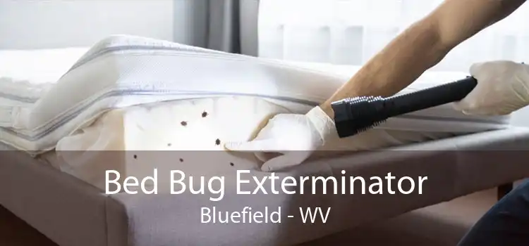 Bed Bug Exterminator Bluefield - WV
